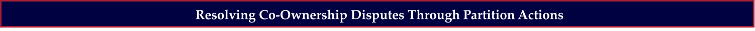Resolving Co-Ownership Disputes Through Partition Actions