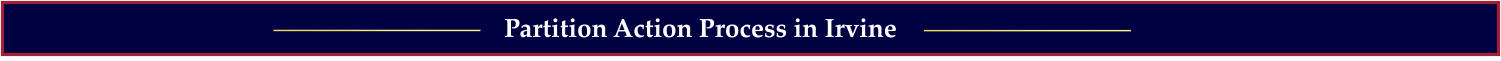Partition Action Process in Irvine